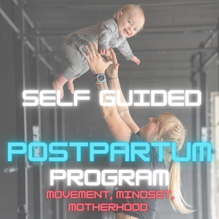 Self Guided Postpartum Program